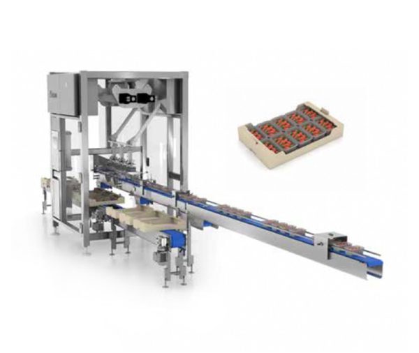 Encajadora Industrial CP 200