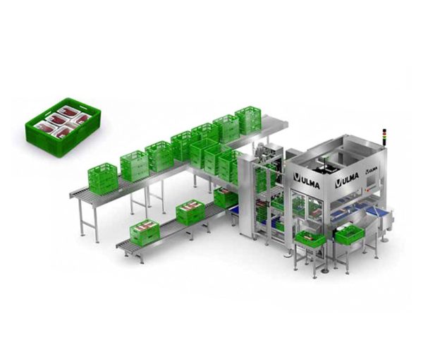 Encajadora Industrial CP 200 SM