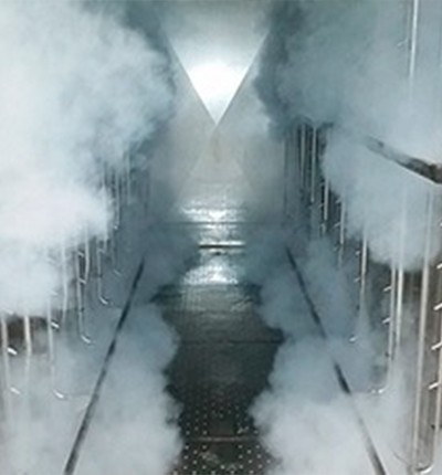 Hornos de Cocción y Ahumado Mediana Industria