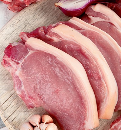 Sierra Cortadora de Huesos Manual