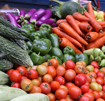 https://taglermaq.cl/wp-content/uploads/2024/04/vegetales.png
