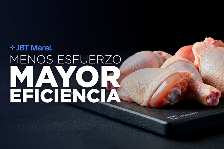 Imagen Destacada